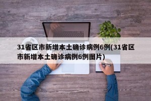 31省区市新增本土确诊病例6例(31省区市新增本土确诊病例6例图片)
