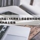 14天超1.5万例本土感染者如何应对/14天内本土疫情