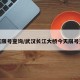 今天限号查询/武汉长江大桥今天限号查询